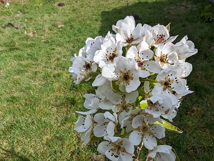 lake surrounded by mountains