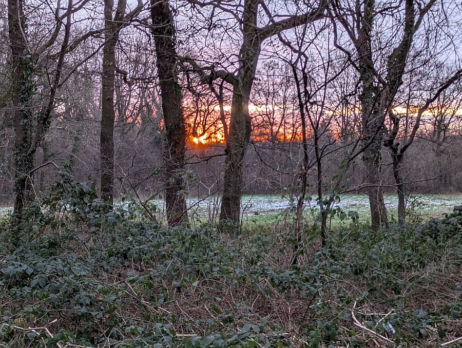 Line #<b>0</b> : Sonnwnaufgang im R&ouml;llingh&auml;ser Busch
<br />
